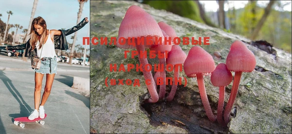 таблы Алексеевка
