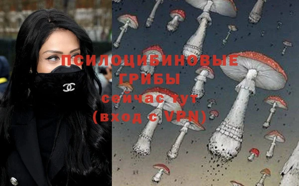 соль курить ск Алзамай