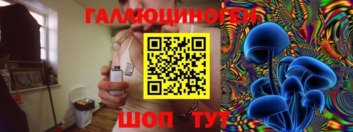 Псилоцибиновые грибы Psilocybine cubensis  Вход с VPN  Псилоцибиновые грибы мицелий  Алушта 