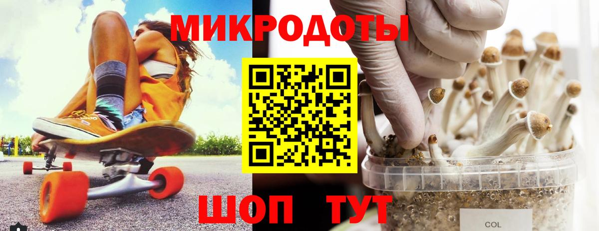 Псилоцибиновые грибы Cubensis Алушта
